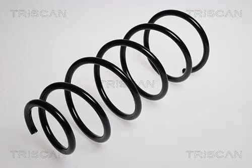 Fahrwerksfeder Vorderachse TRISCAN 8750 1448
