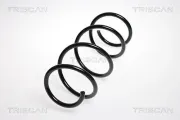 Fahrwerksfeder Vorderachse TRISCAN 8750 1458