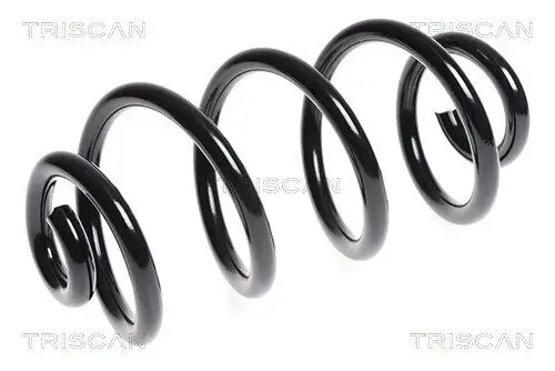 Fahrwerksfeder Hinterachse TRISCAN 8750 1492