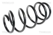 Fahrwerksfeder Vorderachse TRISCAN 8750 1496