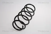 Fahrwerksfeder Vorderachse TRISCAN 8750 15120