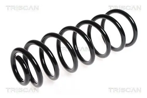 Fahrwerksfeder Hinterachse TRISCAN 8750 15176 Bild Fahrwerksfeder Hinterachse TRISCAN 8750 15176