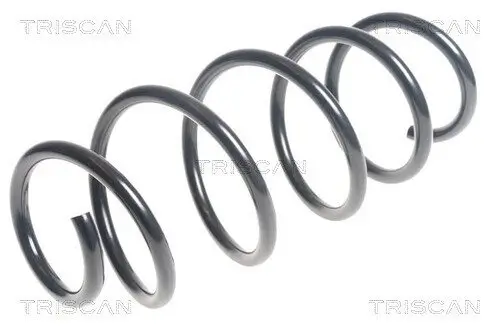 Fahrwerksfeder Vorderachse TRISCAN 8750 15199