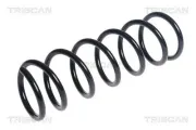 Fahrwerksfeder Hinterachse TRISCAN 8750 15222