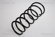 Fahrwerksfeder Vorderachse TRISCAN 8750 1561