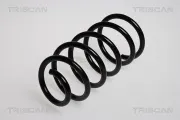 Fahrwerksfeder Hinterachse TRISCAN 8750 1579
