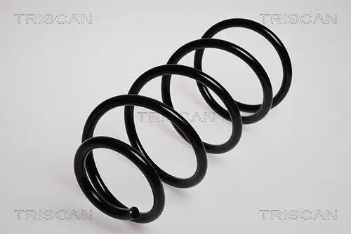 Fahrwerksfeder Vorderachse TRISCAN 8750 16015