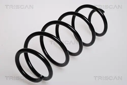 Fahrwerksfeder Vorderachse TRISCAN 8750 16023