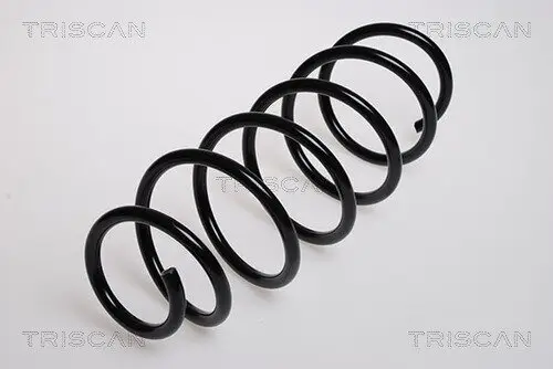 Fahrwerksfeder Hinterachse TRISCAN 8750 16024 Bild Fahrwerksfeder Hinterachse TRISCAN 8750 16024