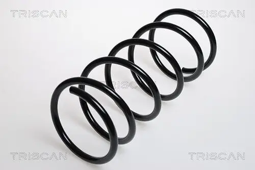 Fahrwerksfeder Vorderachse TRISCAN 8750 16029 Bild Fahrwerksfeder Vorderachse TRISCAN 8750 16029
