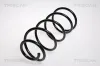 Fahrwerksfeder Vorderachse TRISCAN 8750 16041