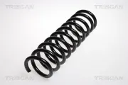 Fahrwerksfeder Hinterachse TRISCAN 8750 16045