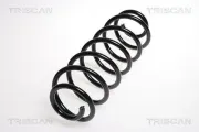 Fahrwerksfeder Hinterachse TRISCAN 8750 16046