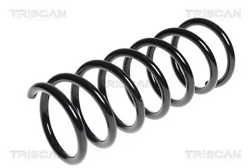 Fahrwerksfeder Hinterachse TRISCAN 8750 16081 Bild Fahrwerksfeder Hinterachse TRISCAN 8750 16081