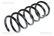 Fahrwerksfeder Hinterachse TRISCAN 8750 16083