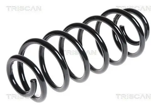 Fahrwerksfeder Hinterachse TRISCAN 8750 16087 Bild Fahrwerksfeder Hinterachse TRISCAN 8750 16087