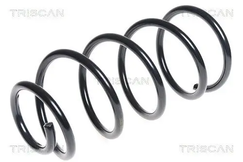 Fahrwerksfeder Vorderachse TRISCAN 8750 16094