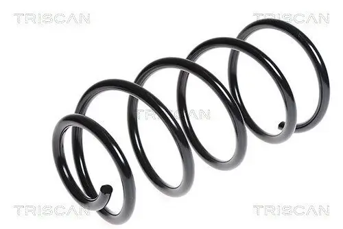 Fahrwerksfeder Vorderachse TRISCAN 8750 16096 Bild Fahrwerksfeder Vorderachse TRISCAN 8750 16096