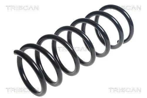 Fahrwerksfeder Hinterachse TRISCAN 8750 16106 Bild Fahrwerksfeder Hinterachse TRISCAN 8750 16106