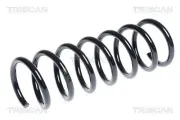Fahrwerksfeder Hinterachse TRISCAN 8750 16111