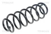 Fahrwerksfeder Hinterachse TRISCAN 8750 16119