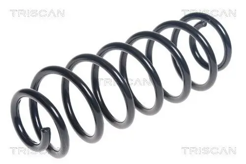 Fahrwerksfeder Hinterachse TRISCAN 8750 16119 Bild Fahrwerksfeder Hinterachse TRISCAN 8750 16119