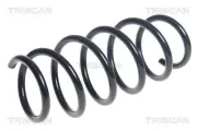 Fahrwerksfeder Vorderachse TRISCAN 8750 16126
