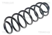 Fahrwerksfeder Hinterachse TRISCAN 8750 16127
