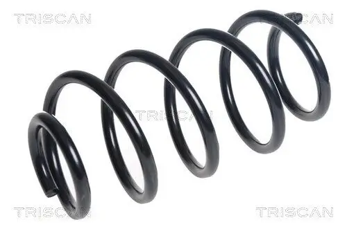 Fahrwerksfeder Vorderachse TRISCAN 8750 16141