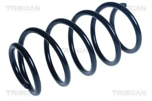 Fahrwerksfeder Vorderachse TRISCAN 8750 16150