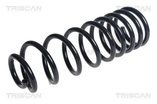 Fahrwerksfeder Hinterachse TRISCAN 8750 16153