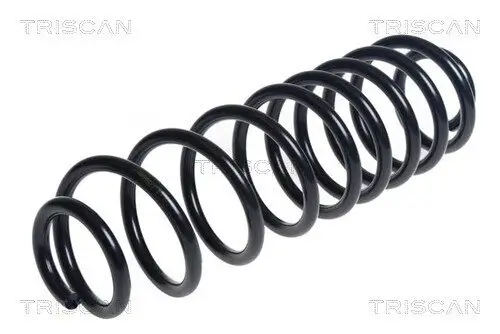 Fahrwerksfeder Hinterachse TRISCAN 8750 16155