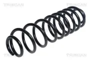 Fahrwerksfeder Hinterachse TRISCAN 8750 16155