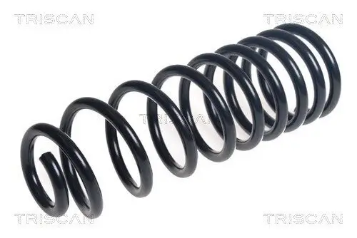 Fahrwerksfeder Hinterachse TRISCAN 8750 16163