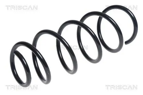 Fahrwerksfeder Hinterachse TRISCAN 8750 16177 Bild Fahrwerksfeder Hinterachse TRISCAN 8750 16177
