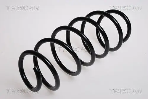 Fahrwerksfeder Hinterachse TRISCAN 8750 16189