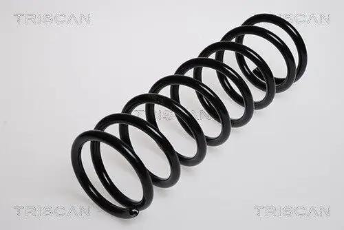 Fahrwerksfeder Hinterachse TRISCAN 8750 16190