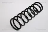 Fahrwerksfeder Hinterachse TRISCAN 8750 16190