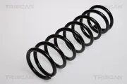 Fahrwerksfeder Hinterachse TRISCAN 8750 16190