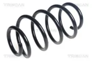 Fahrwerksfeder Vorderachse TRISCAN 8750 16193