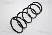 Fahrwerksfeder Vorderachse TRISCAN 8750 1689