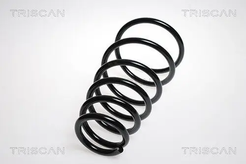 Fahrwerksfeder Hinterachse TRISCAN 8750 1837