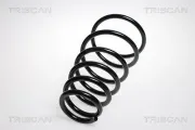 Fahrwerksfeder Hinterachse TRISCAN 8750 1837