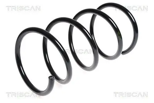 Fahrwerksfeder Vorderachse TRISCAN 8750 1839