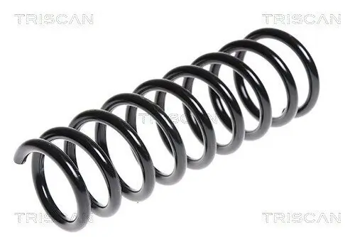 Fahrwerksfeder Hinterachse TRISCAN 8750 1847