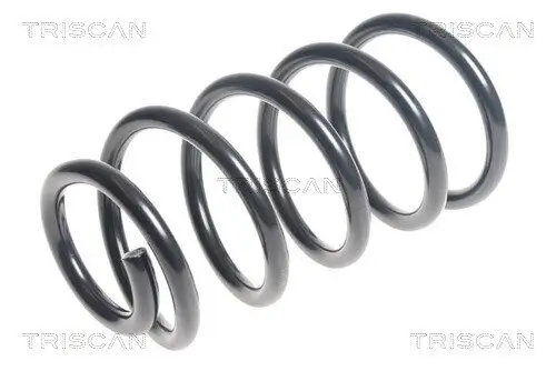 Fahrwerksfeder Hinterachse TRISCAN 8750 1872