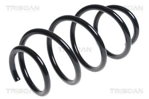 Fahrwerksfeder Vorderachse TRISCAN 8750 1876