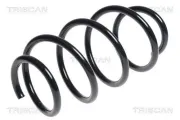 Fahrwerksfeder Vorderachse TRISCAN 8750 1876