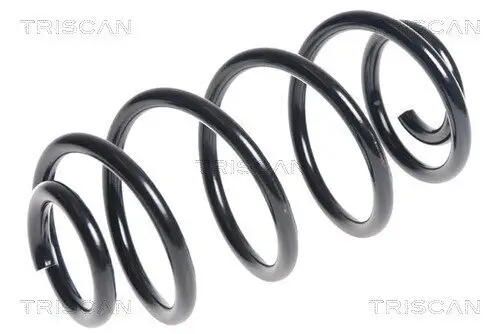 Fahrwerksfeder Hinterachse TRISCAN 8750 2137