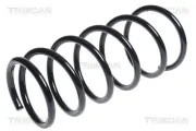 Fahrwerksfeder Vorderachse TRISCAN 8750 2138